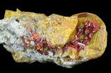 Orpiment & Realgar with Pyrite Crystals - Peru #63807-1
